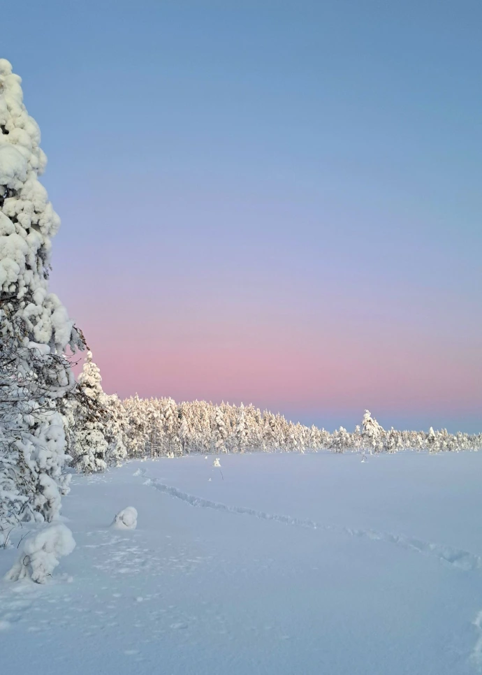 Winter Lapland landscape